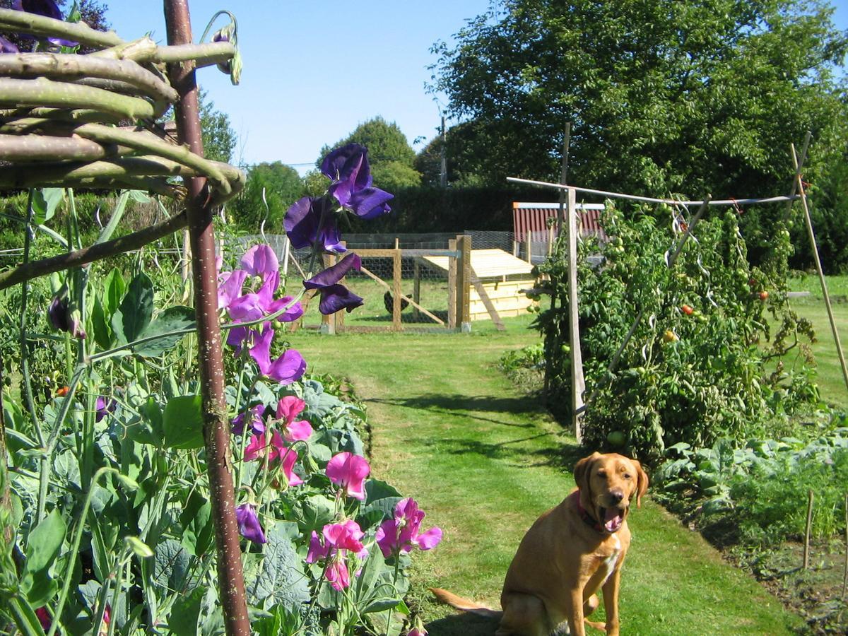 Le Canard Au Parapluie Rouge Bed & Breakfast Celon Exterior photo